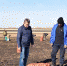 Фермер Роберт Хасимов, уборочная, картофель2 - Газета Звезда