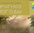 По данным Челябинского Гидрометеоцентра на 25.08.2023 г. ожидается: облачно с прояснением, местами небольшие дожди, на юге до умеренных, днём возможны грозы. 

Ветер западный, северо-западный 3-8 м/с, местами порывы до 12 м/с.
Температура воздуха ночью плюс 4-9°, в горах и низинах до плюс 1°, местами заморозки в воздухе и на почве до минус 2°, днём плюс 15-20°. - Агаповский район