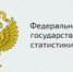 В Челябинской области в 2026 году пройдет выборочное наблюдение доходов населения и участия в социальных программах. - Агаповский район